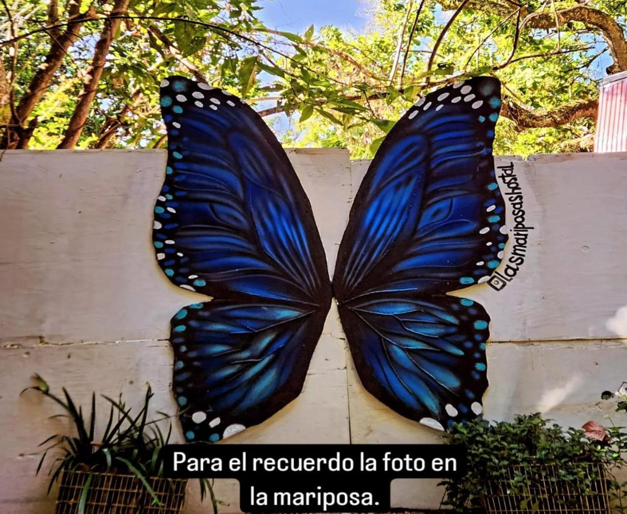 Hostal Las Mariposas 민카 외부 사진