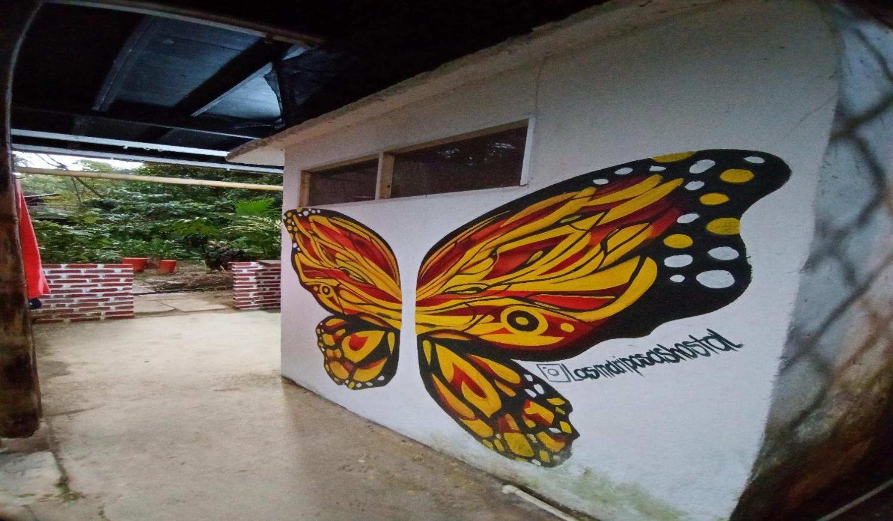 Hostal Las Mariposas 민카 외부 사진